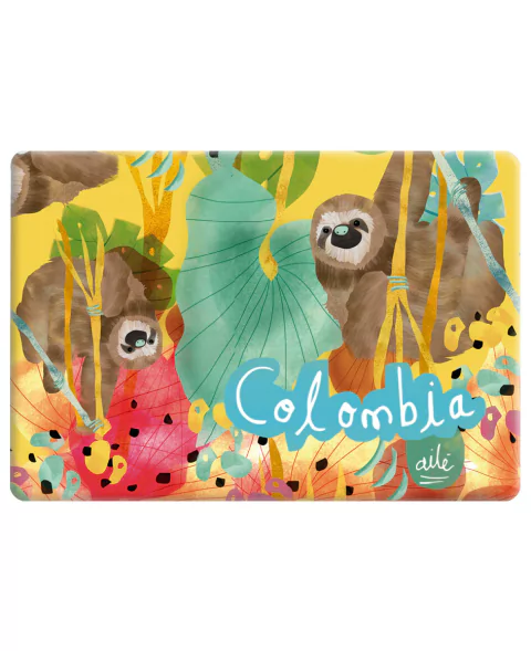 IMAN RECTANGULAR OSO PEREZOSO