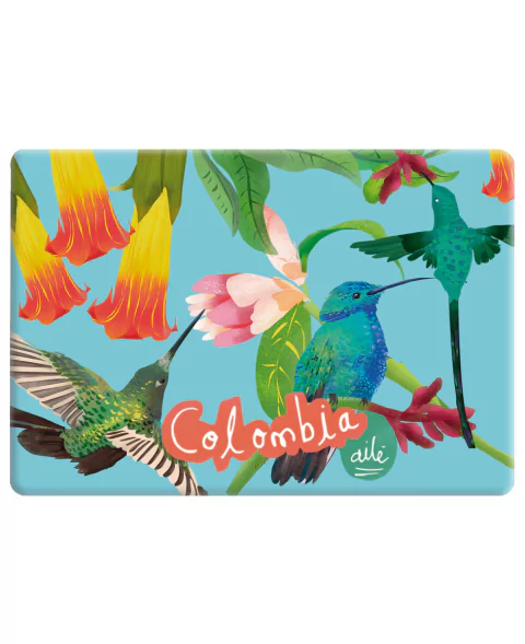 IMAN RECTANGULAR COLIBRI