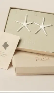 ARETES ESTRELLA DE MAR BAÑO PLATA