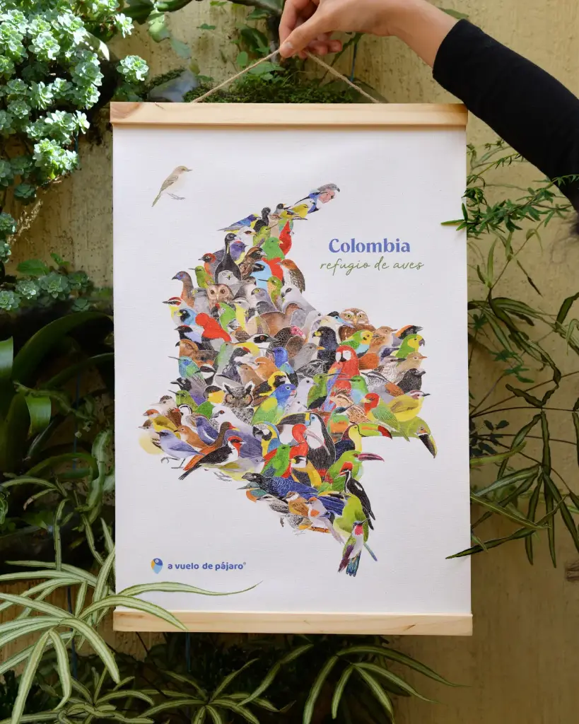 HANGER + LIENZO TUBO MAPAS 25 CM X 35 CM