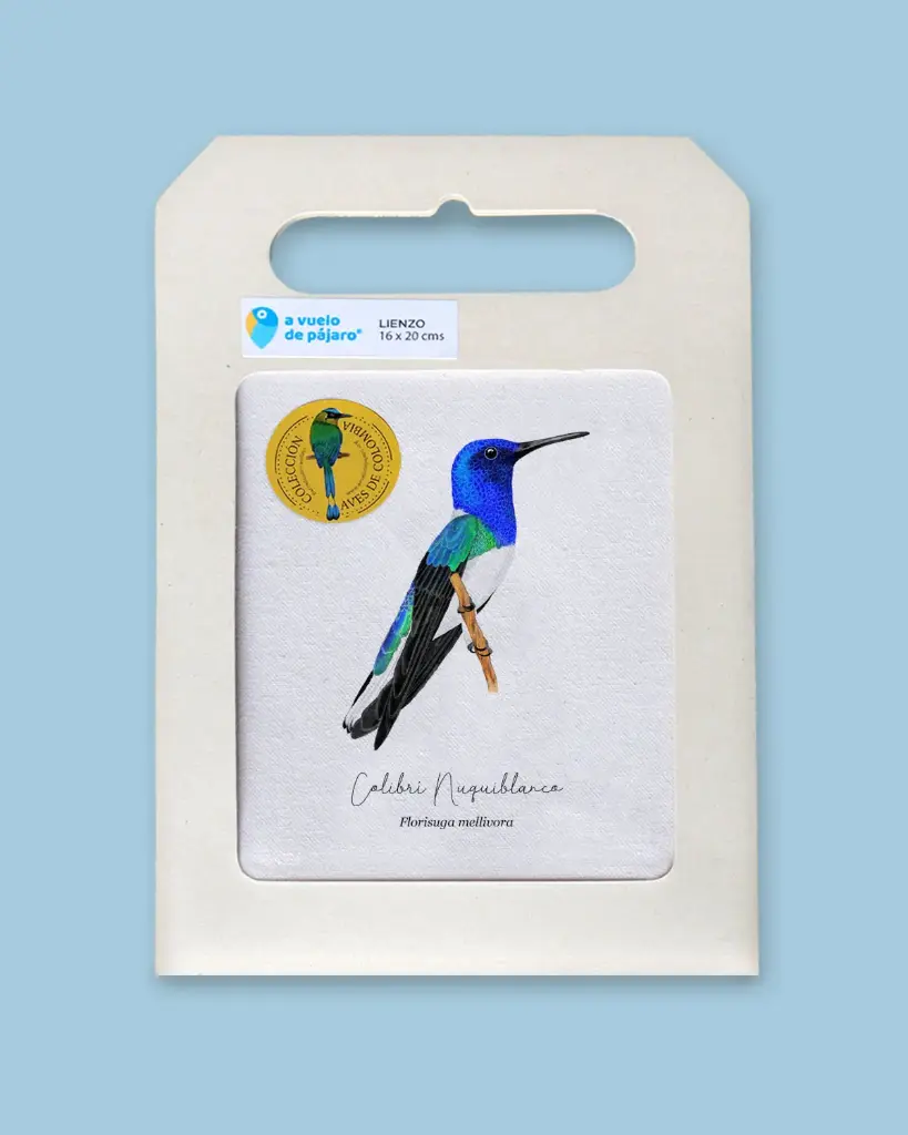 MINILIENZO A VUELO DE PAJARO