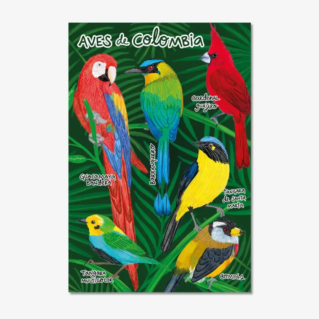 POSTALES ILUSTRADAS A VUELO DE PAJARO UNIDAD