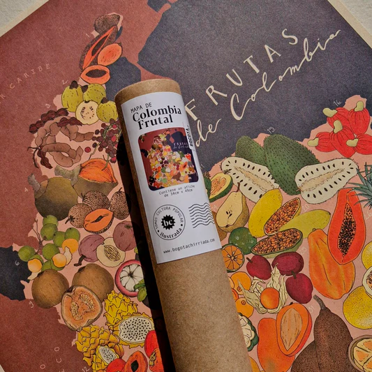 AFICHE MAPA BOGOTA CHIRRIADA 