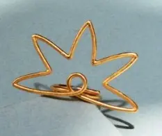 Gy Anillo Aadapi / Bejuco