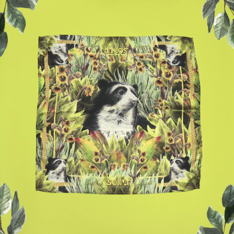 PAÑOLETAS PEQUEÑAS - OSO