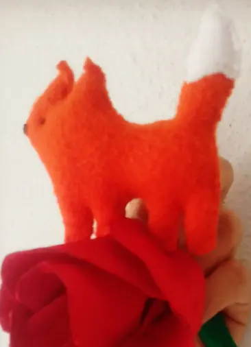 ZORRO DEL PRINCIPITO