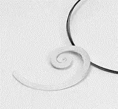 ESPIRAL COLGANTE