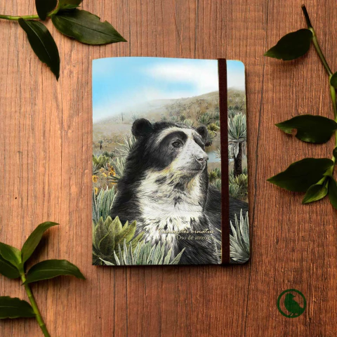 Libreta pequeña Oso Páramo