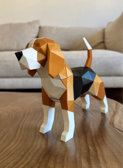 Beagle Magnetico