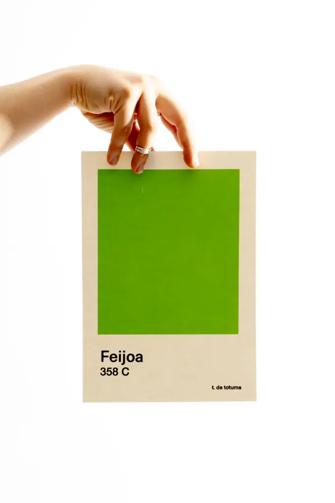 AFICHE S Feijoa