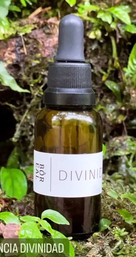 DETOX ESENCIAS FLORALES