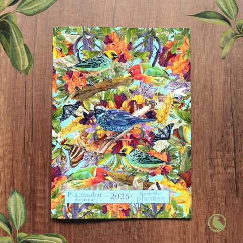 PLANEADOR 2026 TÁNGARAS