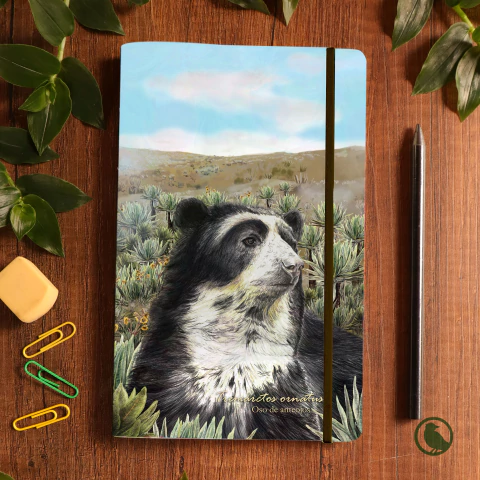 Libreta grande Oso Páramo