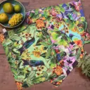 Juego de individuales Colibríes x 4