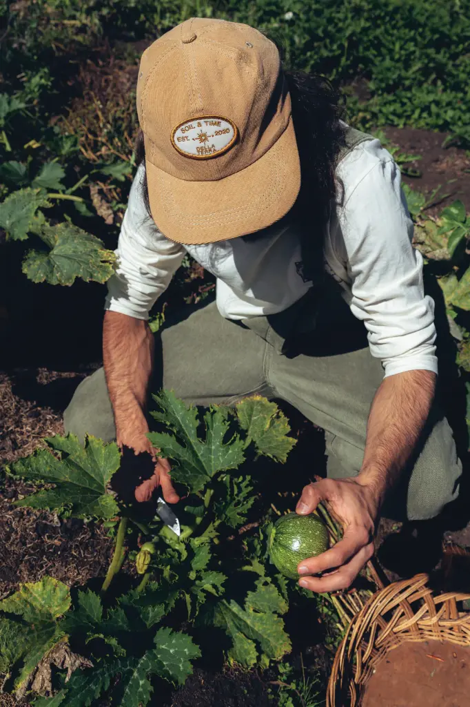 Sun Organic Cap