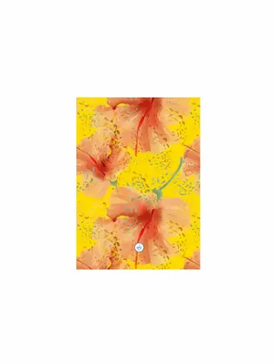 [A9094-2] TOALLA GAFAS CAYENA