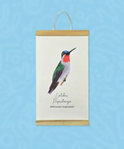 [AV028] MINILIENZO A VUELO DE PAJARO