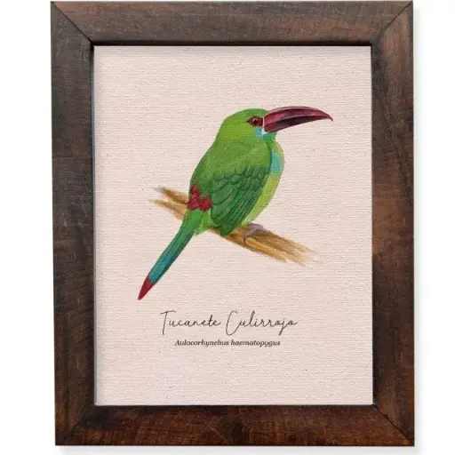 [AV11] CUADRO LIENZO AVES 16 x20