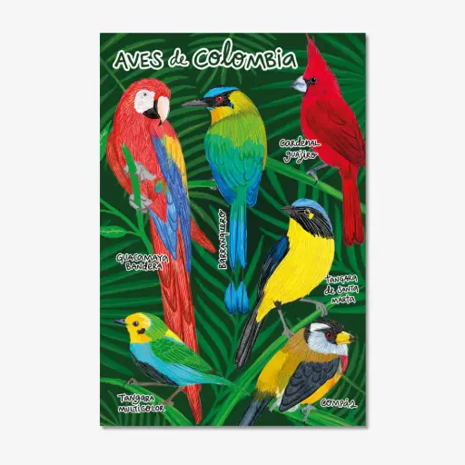 [AV21] POSTALES UNIDAD