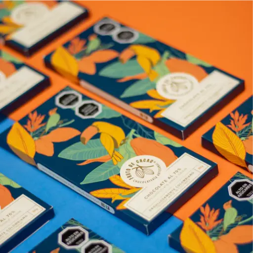 [BS008] BARRA CHOCOLATE 70% 30GR