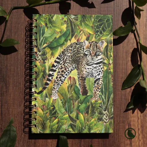 [S-CA-line-oce] CUADERNOS ANILLADOS LINEAS OCELOTE