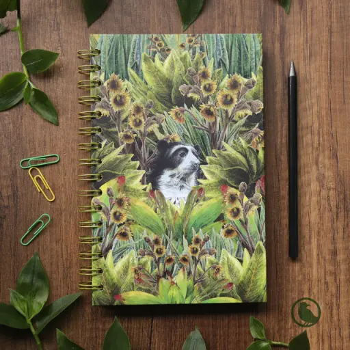 [S-CA-liso-oso] CUADERNO ANILLADOS EN BLANCO OSO