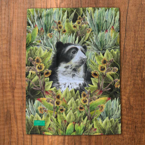 [PAÑ-OSO-3] PAÑO DE COCINA OSO