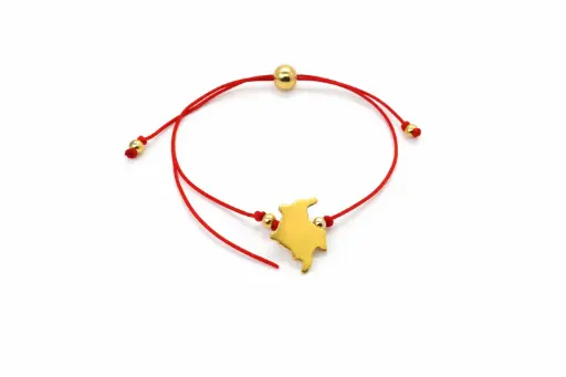 [PLCOL ORO] PULSERA MAPA COLOMBIA ORO