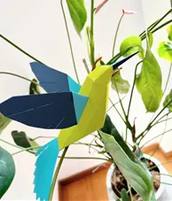 [ZU006-Real] Colibri DIY Real