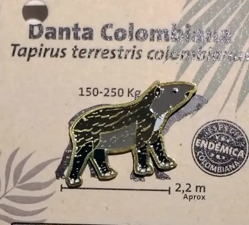 [PNTt1] Pin danta 