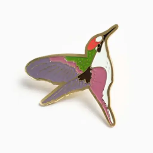 [PNAb1] Pin colibrí