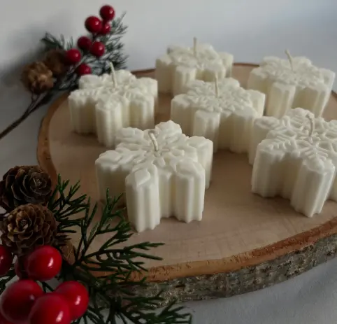 [COP02] Copo de nieve