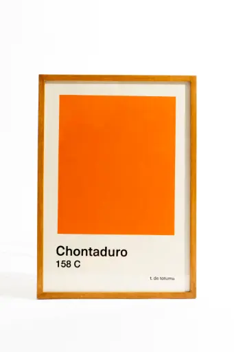 [AFMCHO1] AFICHE M Chontaduro