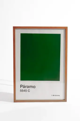 [AFMPAR7] AFICHE M Paramo