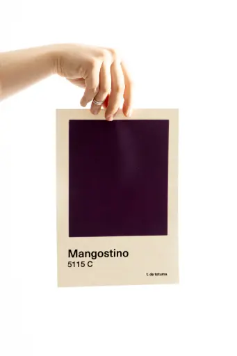 [AFSMAN4] AFICHE S Mangostino