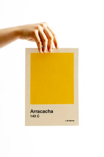 [AFSARR6] AFICHE S Arracacha