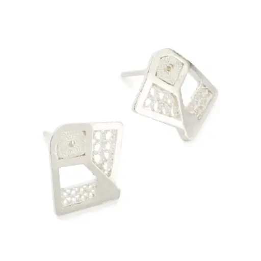 [AMC57] Aretes Medianos Manglar