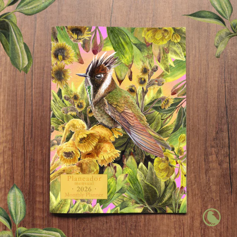 [S-PlanCol2026] PLANEADOR 2026 COLIBRIES