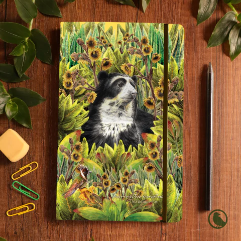 [S-LG-osofra-14] Libreta grande Oso Frailejones