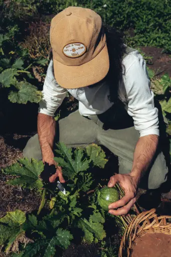 Sun Organic Cap