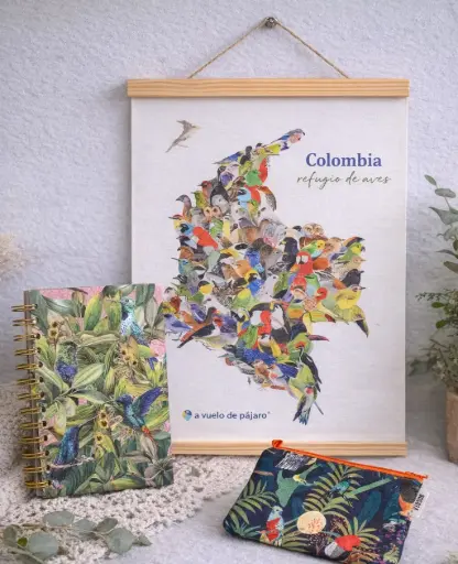 KIT SOUVENIR AVES COLOMBIA